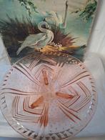 Persglas schaal, Ophalen of Verzenden