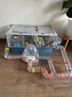 Compleet hamsterhok!, Dieren en Toebehoren, Gebruikt, Minder dan 75 cm, Ophalen, Minder dan 60 cm