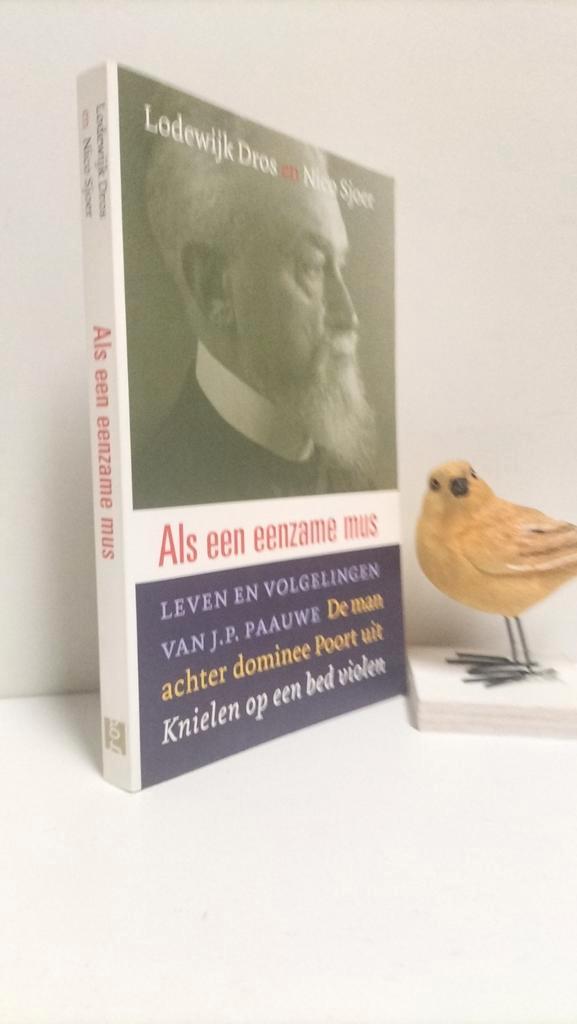 Dros,L.; Als een eenzame mus (Ds. J.P. Paauwe, Boeken, Godsdienst en Theologie, Gelezen, Christendom | Protestants, Ophalen of Verzenden