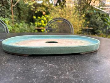 Grote lage bonsaischaal licht turquoisblauw handwerk beschikbaar voor biedingen