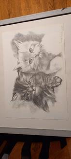 2 kittens, Ophalen of Verzenden