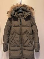 Parajumpers Long Bear XS origineel, Ophalen, Parajumpers, Zo goed als nieuw, Maat 34 (XS) of kleiner