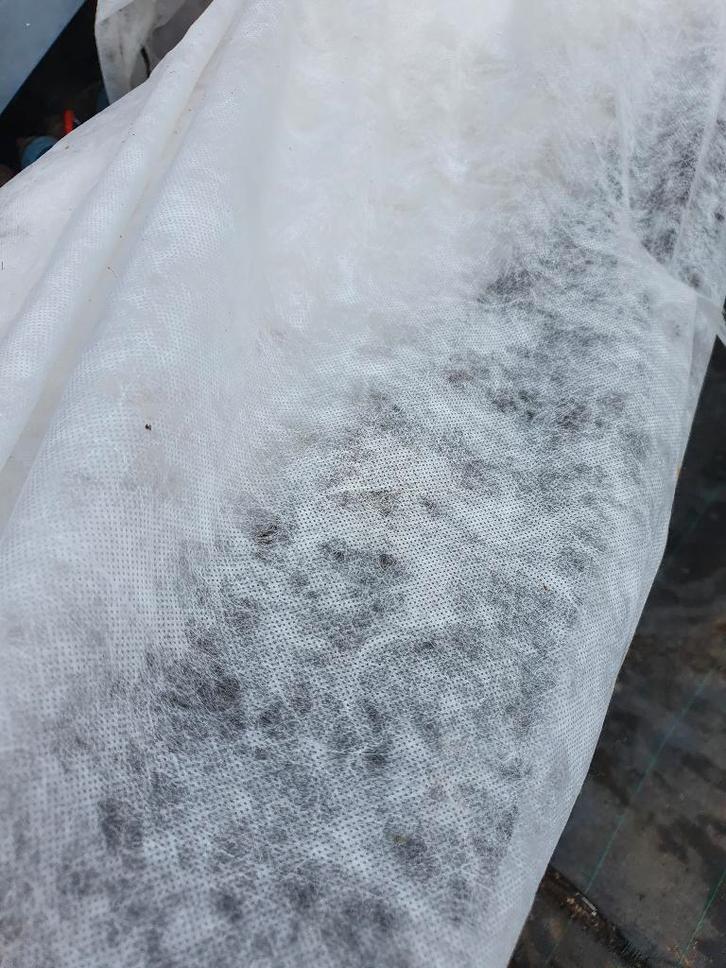 Vliesdoek nachtvorstdoek vorstdoek  vorstgevoelige planten, Tuin en Terras, Kweekspullen, Nieuw, Overige typen, Ophalen of Verzenden