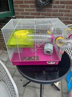 knaagdieren kooi inclusief toebehoren, voedsel en stro/hooi, Kooi, Hamster, Minder dan 75 cm, Zo goed als nieuw