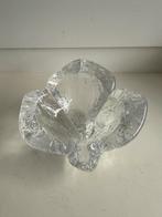 Orrefors Lars Hellsten Glazen Blad Schaal, Ophalen of Verzenden