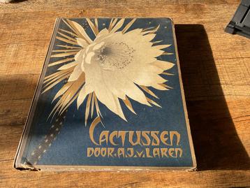 Verkade plaatjes boek cacussen 1931 beschikbaar voor biedingen