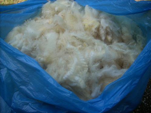 ecru + zwart schapenwol vulwol wol hooikist poppen beren, Hobby en Vrije tijd, Knutselen, Nieuw, Materiaal, Ophalen of Verzenden