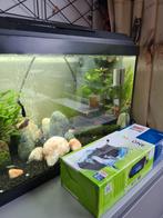 Juwel aquarium 60 liter, Dieren en Toebehoren, Vissen | Aquaria en Toebehoren, Ophalen, Gevuld zoetwateraquarium