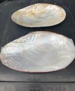 Schelpen schaaltjes, Ophalen, Nieuw, Ovaal