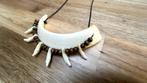 Wild zwijnen tand ketting, Sieraden, Tassen en Uiterlijk, Kettingen, Overige materialen, Verzenden, Wit, Verstelbaar