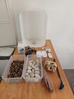 Te koop goed werkende Aquarium Biorb 45 liter., Dieren en Toebehoren, Vissen | Aquaria en Toebehoren, Ophalen, Zo goed als nieuw