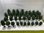 36 Bomen (Noch/Busch), Hobby en Vrije tijd, Modeltreinen | H0, Overige merken, Natuur, Gelijkstroom of Wisselstroom, Ophalen of Verzenden