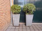 2 prachtige buitenpotten met planten, Tuin en Terras, Ophalen of Verzenden, Zo goed als nieuw, Steen