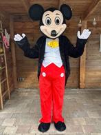 mascotte of VIP kostuum om kado aan te bieden of verrassing, Hobby en Vrije tijd, Ophalen of Verzenden, Zo goed als nieuw, Overige