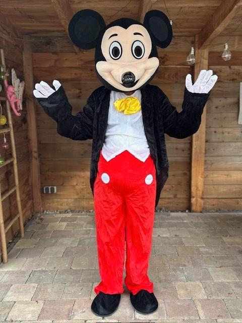 mascotte of VIP kostuum om kado aan te bieden of verrassing, Hobby en Vrije tijd, Feestartikelen | Verhuur, Zo goed als nieuw