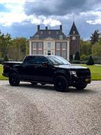 Ford F150 FX4 5.0 V8 LPG 2013 “marge voertuig”, Auto's, Ford Usa, Origineel Nederlands, Te koop, 5 stoelen, 2791 kg