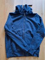 Hema Vest Maat M Grijsblauw, Hema, Ophalen of Verzenden, Zo goed als nieuw, Maat 48/50 (M)