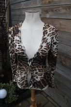 Vest/ Blouse Leopard Roberto Cavalli mt 34, Kleding | Dames, Blouses en Tunieken, Maat 34 (XS) of kleiner, Bruin, Zo goed als nieuw