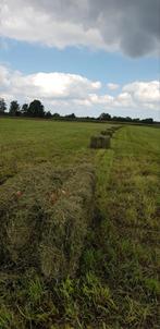 Kleine Hooi balen, Dieren en Toebehoren, Ophalen of Verzenden