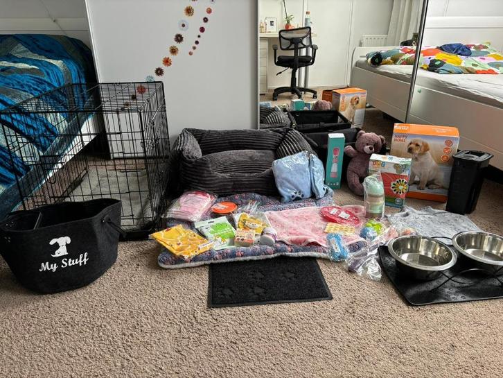 hondenspullen (pakket), Dieren en Toebehoren, Honden-accessoires, Zo goed als nieuw, Ophalen