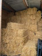 Te koop gerst stro pakjes, Dieren en Toebehoren, Dierenvoeding, Ophalen of Verzenden, Vee