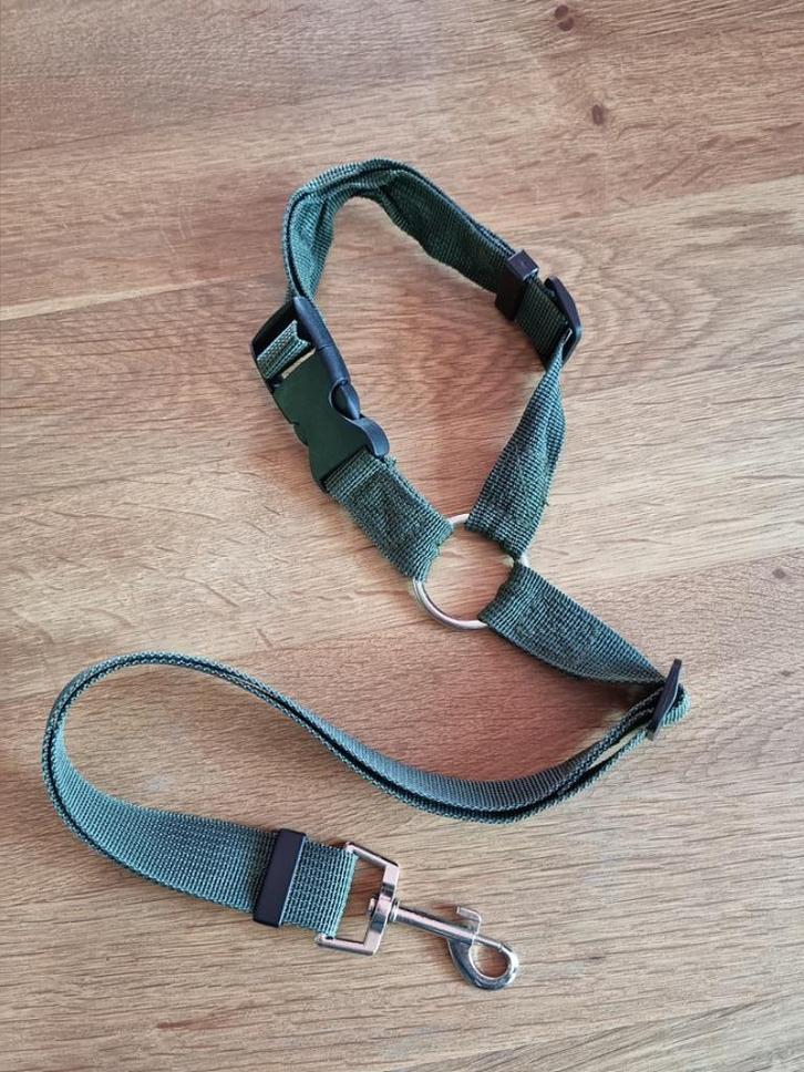 Honden auto riem (groen) NIEUW, Dieren en Toebehoren, Hondenriemen, Nieuw, Hondenriem, Ophalen of Verzenden