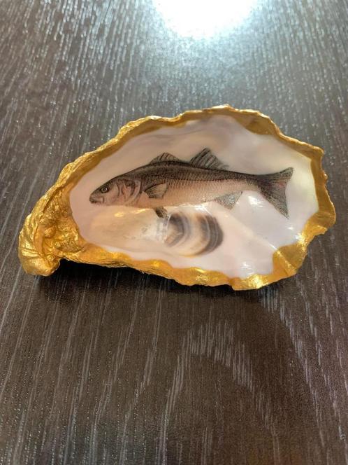Een leuke vis in een oester origineel cadeau nieuw, Dieren en Toebehoren, Vissen | Aquaria en Toebehoren, Nieuw, Plant(en), Steen of Hout