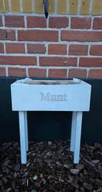 Munt planten bak, Ophalen of Verzenden