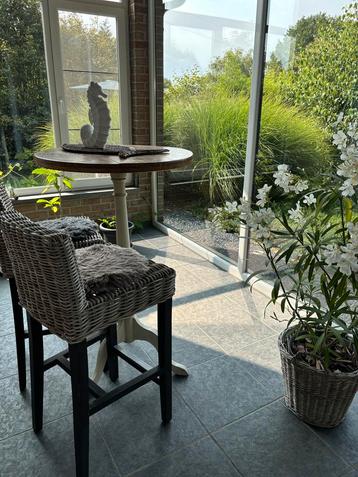 Landelijke bistro-set beschikbaar voor biedingen