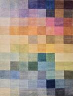 Unieke Multikleuren Tapijt - Wegens Winkel Sluiting!, Ophalen, Crème, 200 cm of meer, Rechthoekig