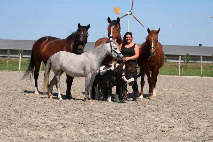 Instructie/ Ruitercoach advies op maat!, Diensten en Vakmensen, Dieren | Paarden | Verzorging, Oppas en Les, Gedragstraining, Paardrijles of Ponykampen