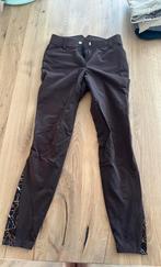 Rijbroek hkm met full grip maat 34, Dieren en Toebehoren, Ophalen of Verzenden, Zo goed als nieuw, Dressuur, Onderkleding