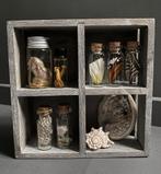 Mini rariteiten letterbak - letterkastje, Ophalen of Verzenden, Paard, Beeldje of Figuurtje