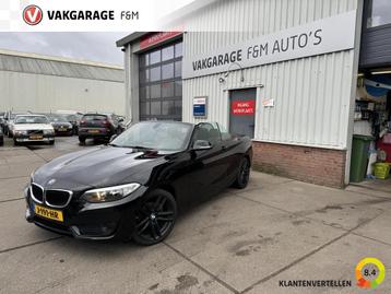 BMW 2-serie Cabrio 218i Centennial Executive beschikbaar voor biedingen