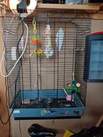 Kooi 75x33x52, Ophalen, Zo goed als nieuw, Metaal, Vogelkooi
