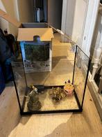 Starterkit Tropical Aquarium 25 liter, Dieren en Toebehoren, Ophalen, Leeg aquarium
