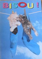 Twee poezen in een sok op een ansichtkaart, Verzenden, 1980 tot heden, Gelopen, Hond of Kat
