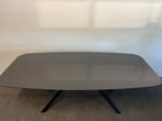 Deens ovale eettafel HPL glans grijs 220x105, 100 tot 150 cm, 200 cm of meer, Ophalen of Verzenden, Zo goed als nieuw