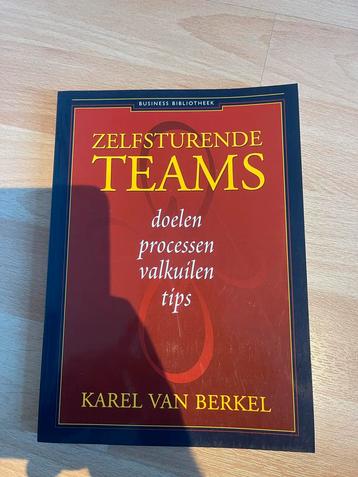 Zelfsturende Teams - Karel van Berkel beschikbaar voor biedingen
