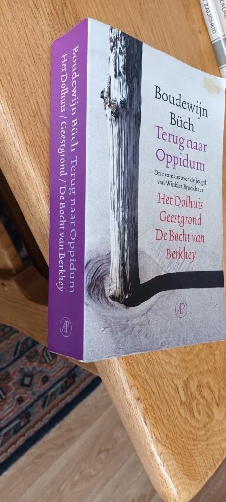 Büch, Boudewijn/Terug naar Oppidum / drie romans, Boeken, Literatuur, Gelezen, Nederland, Ophalen of Verzenden