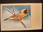 Roodbekwever ansichtkaart P Sluis getekend Rein Stuurman, Verzenden, Ongelopen, Vogel
