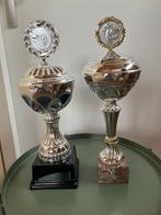Prijzenbekers ca 40 cm 2 stuks trofee per stuk, Ophalen, Gebruikt