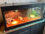 Terrarium 110x40x50cm incl warmte en uv lamp en toebehoren., Ophalen, Gebruikt, Terrarium of Paludarium