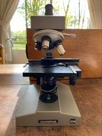 Microscoop Olympus CHC Japan, Audio, Tv en Foto, Optische apparatuur | Microscopen, Gebruikt, Ophalen of Verzenden, Biologische microscoop