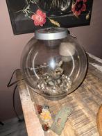 Biorb Aquarium, Dieren en Toebehoren, Vissen | Aquaria en Toebehoren, Ophalen, Gebruikt, Leeg aquarium