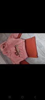 Persival Shirt  plus trui Maat 104/110, Ophalen of Verzenden, Zo goed als nieuw, Persival, Meisje