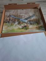Swarovski, Ophalen of Verzenden, Zo goed als nieuw, 8 tot 12x, Dakkant (recht)