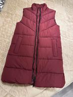 Bodywarmer, Kleding | Dames, Bodywarmers, Ophalen of Verzenden, Zo goed als nieuw, Maat 34 (XS) of kleiner