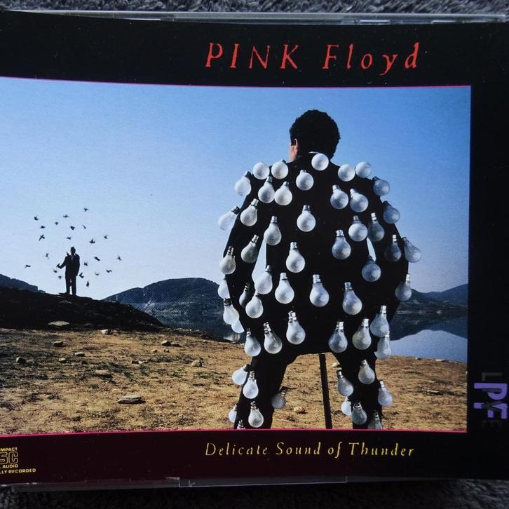 2 CDs..Pink Floyd ‎– Delicate Sound Of Thunder - (US), Cd's en Dvd's, Cd's | Rock, Zo goed als nieuw, Poprock, Ophalen of Verzenden