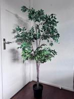 Grote kunstplant van Ikea ong 170 cm hoog, Ophalen of Verzenden